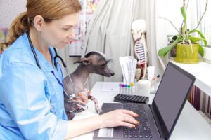 Leia mais sobre o artigo Tecnologia a serviço da medicina veterinária
